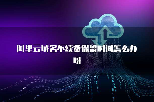 新購(gòu)服務(wù)器與互聯(lián)網(wǎng)域名注冊(cè)問題解決方案